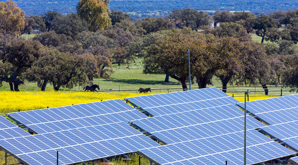 Solar panels in Spain